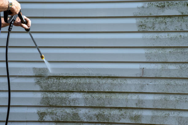 Best Fascia and Soffit Installation  in Stonewall, LA