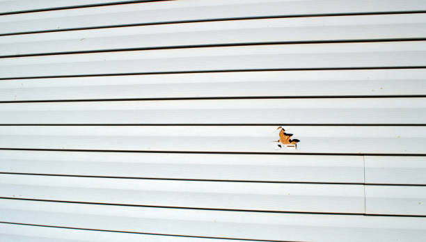 Best Siding Painting and Refinishing  in Stonewall, LA